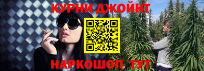 ECSTASY Новодвинск