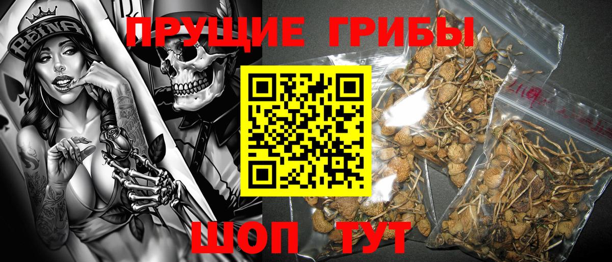 Галлюциногенные грибы ЛСД  Вход с VPN  где можно купить наркотик  Псилоцибиновые грибы Psilocybine cubensis  Фролово 
